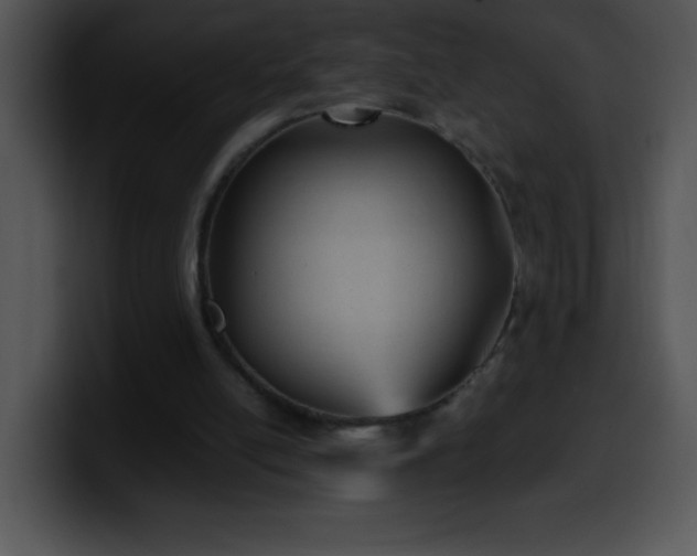 X0000100420054200806061412
