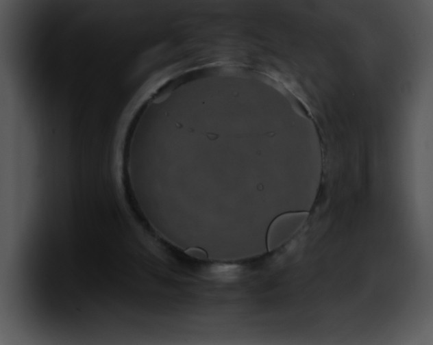 X0000100420055200806061412