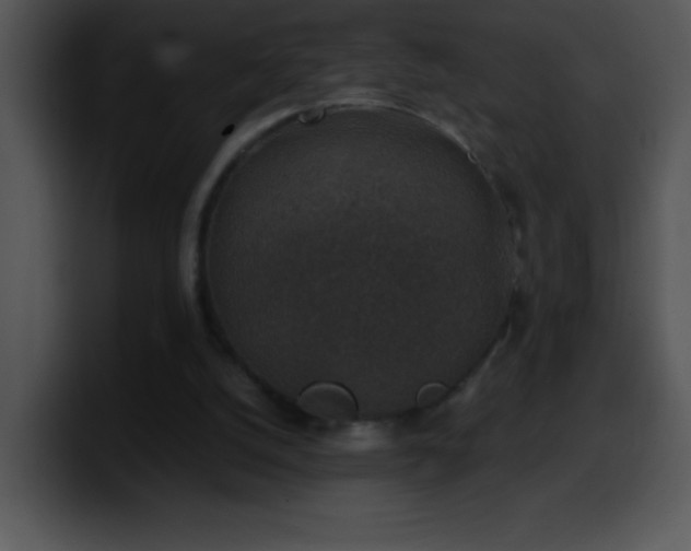 X0000100420056200806061412