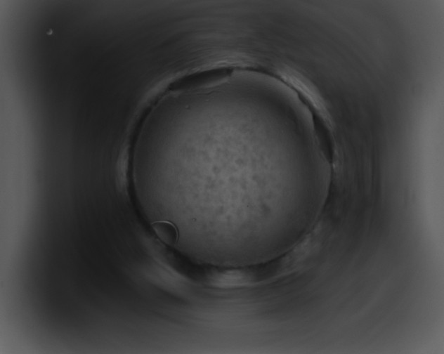 X0000100420058200806061412