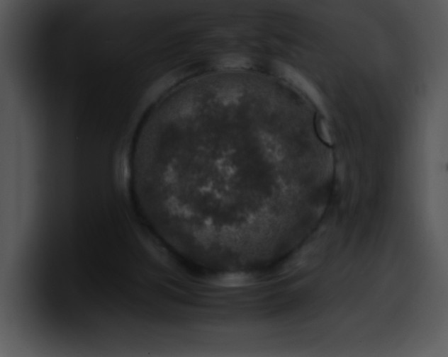 X0000100420059200806061412