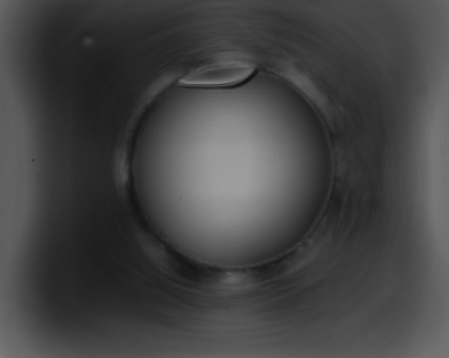 X0000100420060200806061412