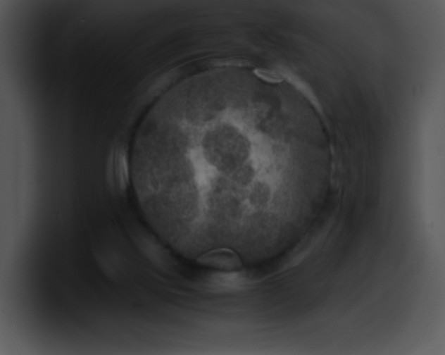 X0000100420061200806061412