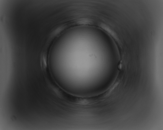 X0000100420062200806061412