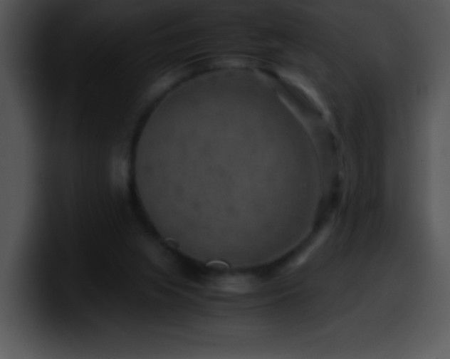 X0000100420063200806061412