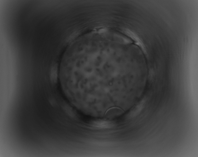 X0000100420065200806061412