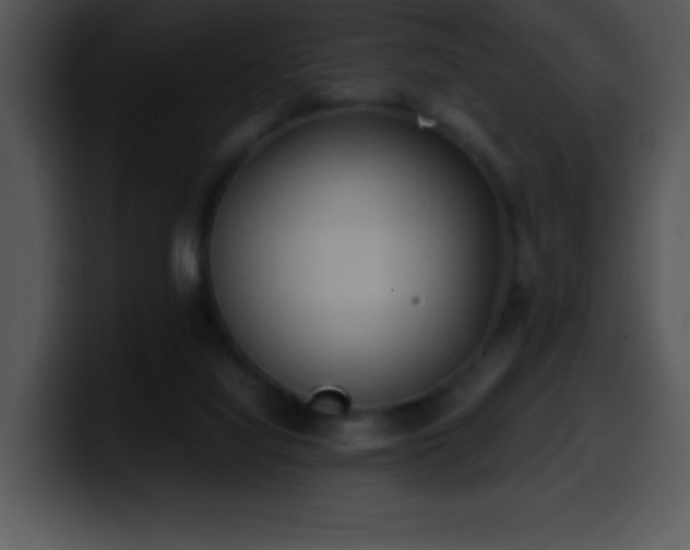 X0000100420068200806061412