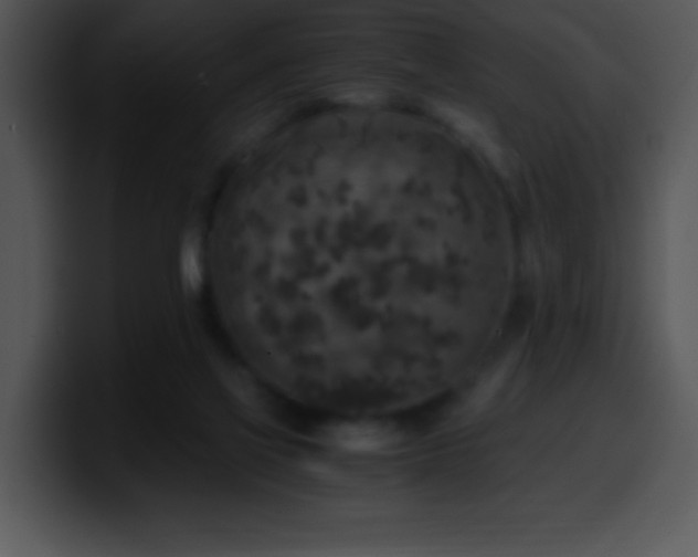 X0000100420069200806061412