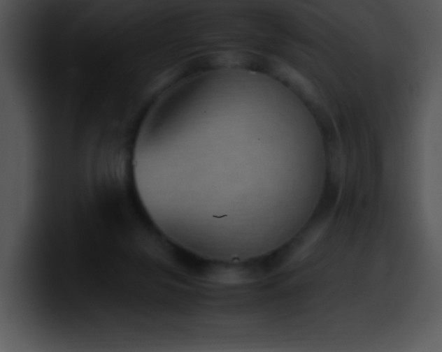 X0000100420071200806061412