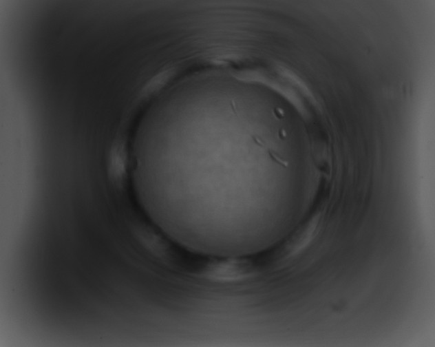 X0000100420072200806061412