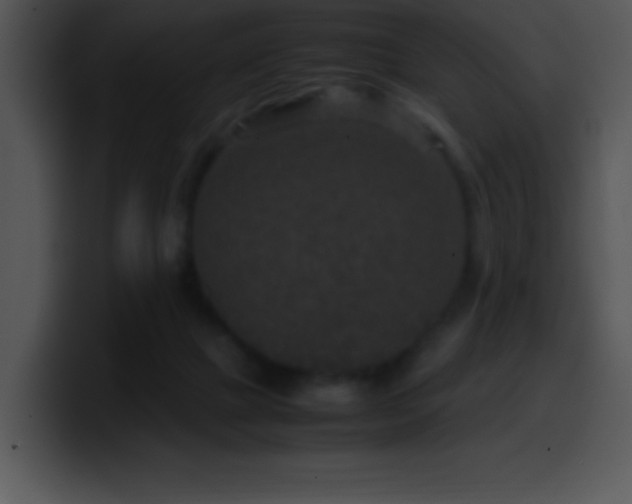 X0000100420073200806061412