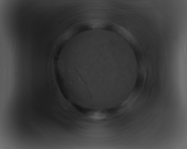 X0000100420074200806061412