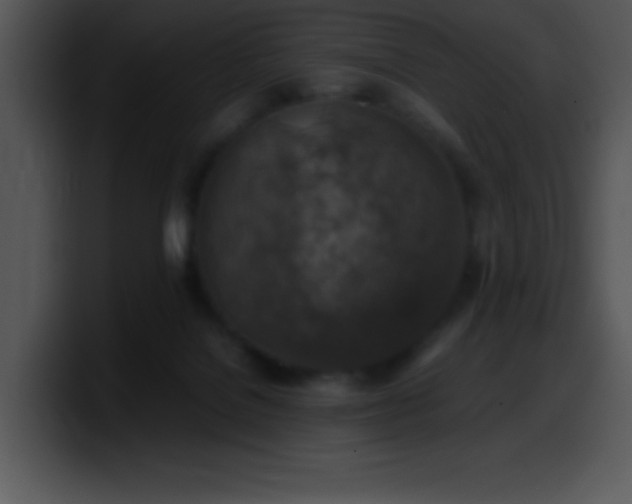 X0000100420076200806061412