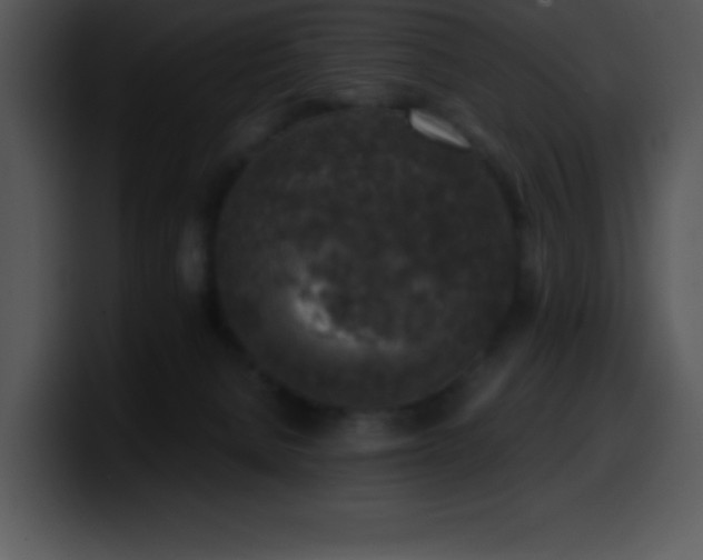 X0000100420080200806061412