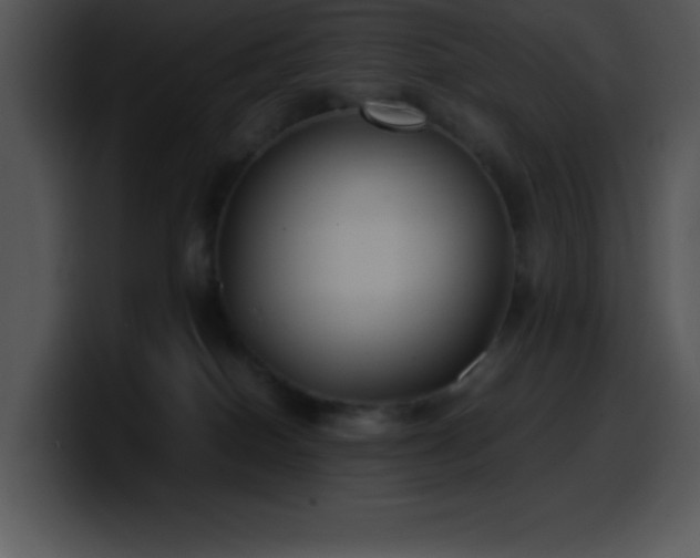 X0000100420086200806061412