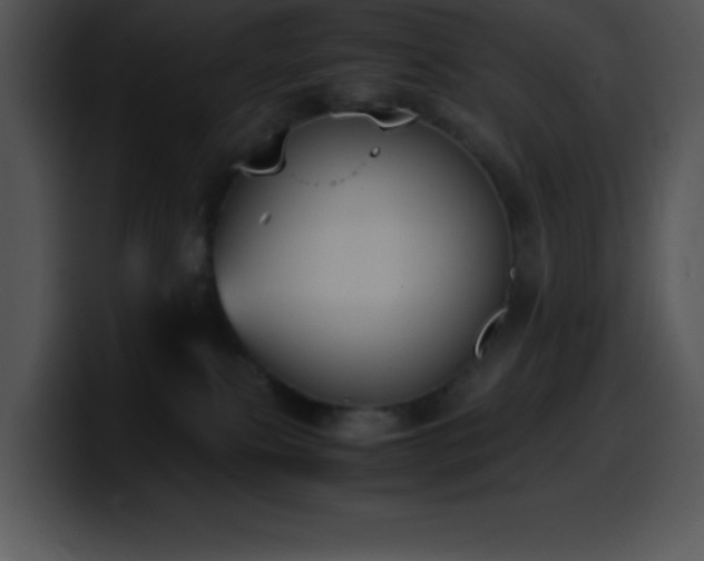 X0000100420087200806061412