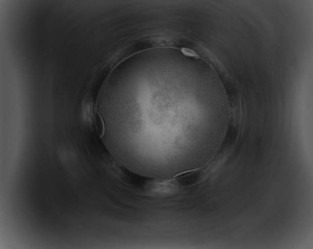 X0000100420093200806061412