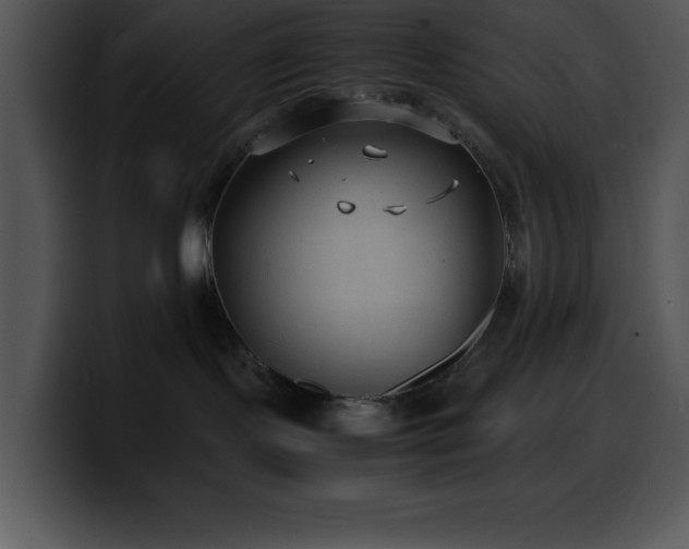 X0000100420095200806061412