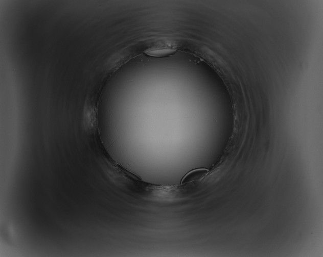 X0000100420096200806061412