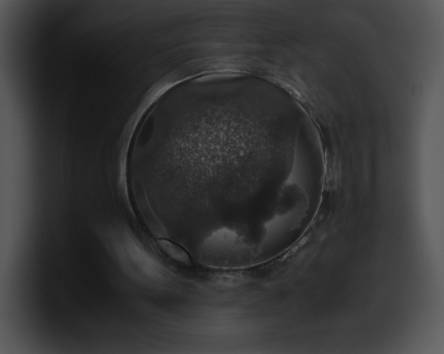 X0000100420099200806061412
