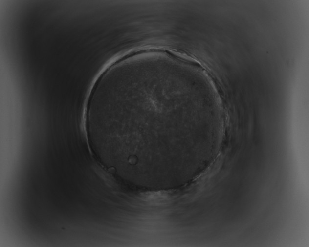 X0000100420100200806061411
