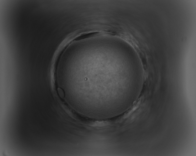 X0000100420101200806061411