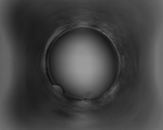 X0000100420102200806061411