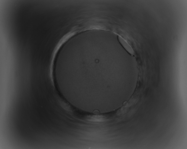 X0000100420104200806061411