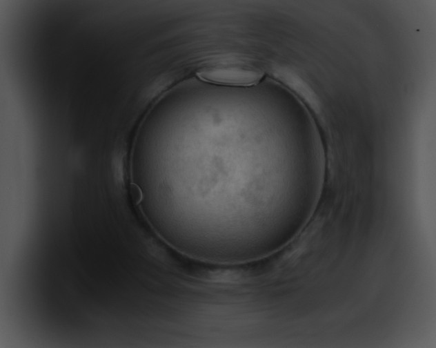 X0000100420105200806061411