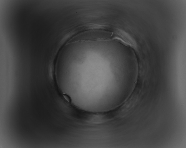 X0000100420107200806061411