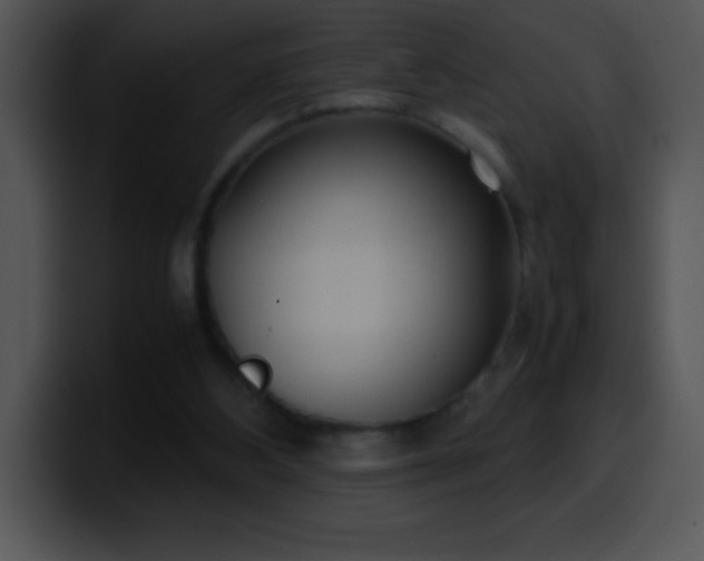 X0000100420108200806061411