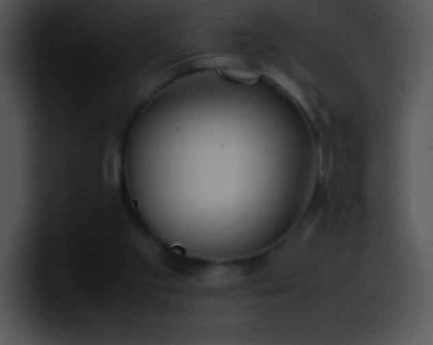 X0000100420109200806061411