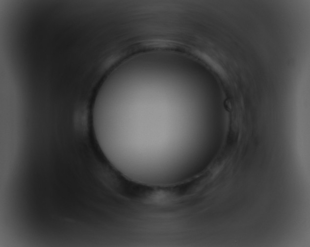 X0000100420111200806061411