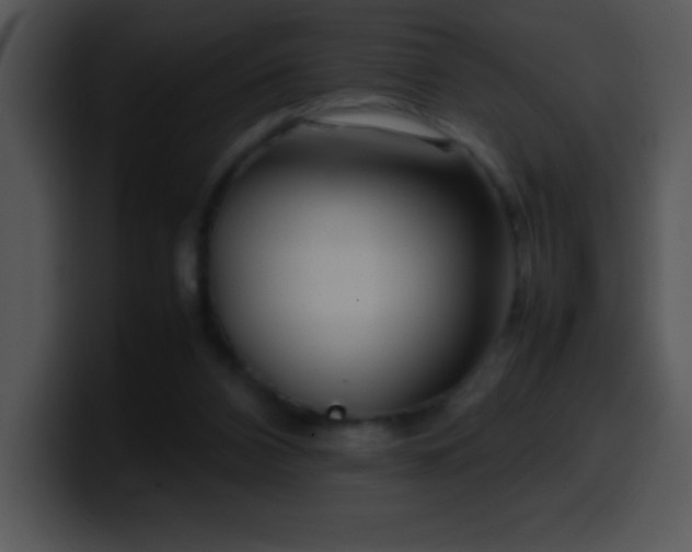 X0000100420112200806061411