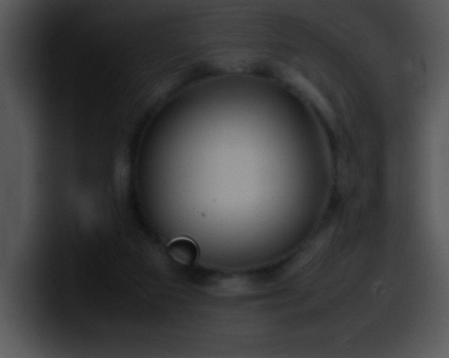 X0000100420113200806061411