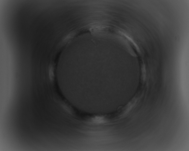 X0000100420114200806061411