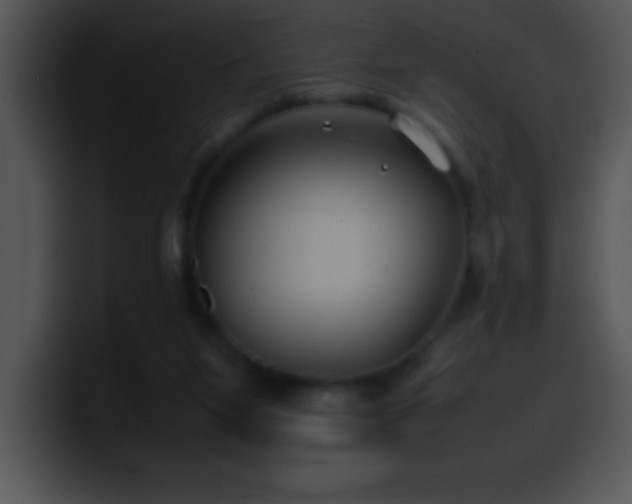 X0000100420115200806061411