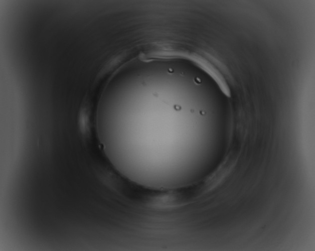 X0000100420116200806061411