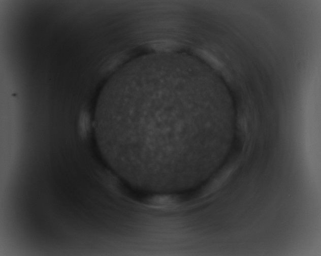 X0000100420117200806061411