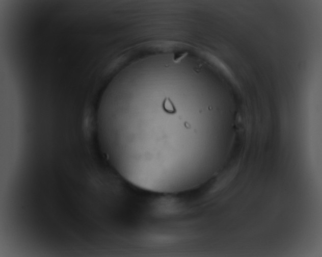 X0000100420119200806061411