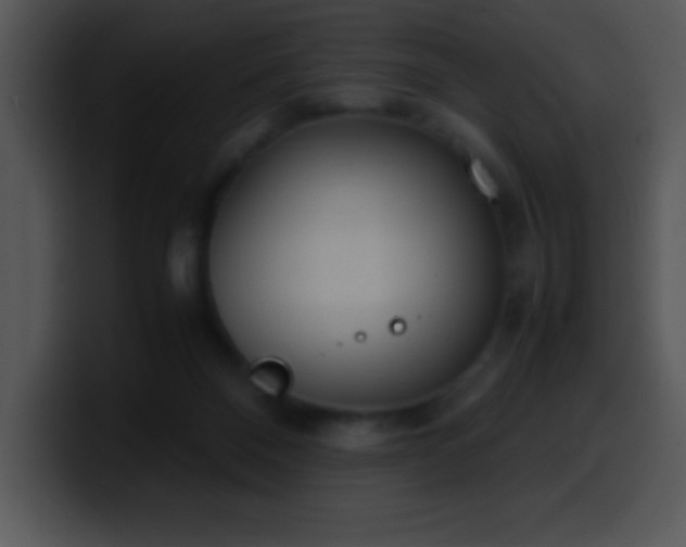X0000100420120200806061411