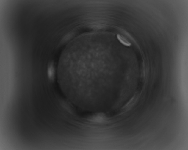 X0000100420124200806061411