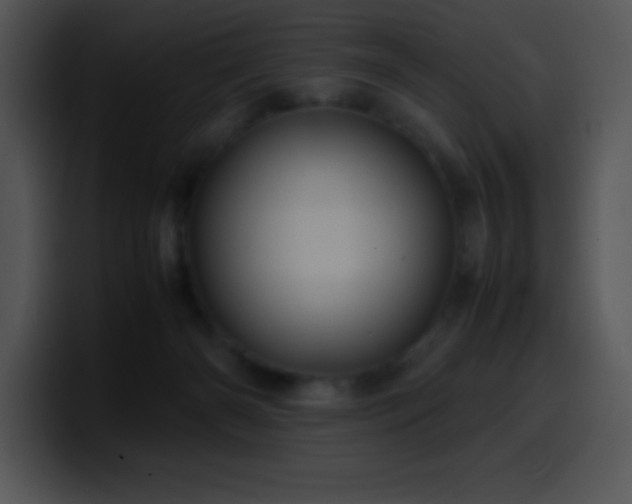 X0000100420126200806061411