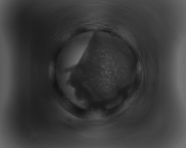 X0000100420127200806061411