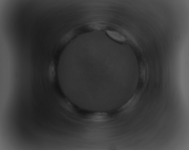 X0000100420128200806061411