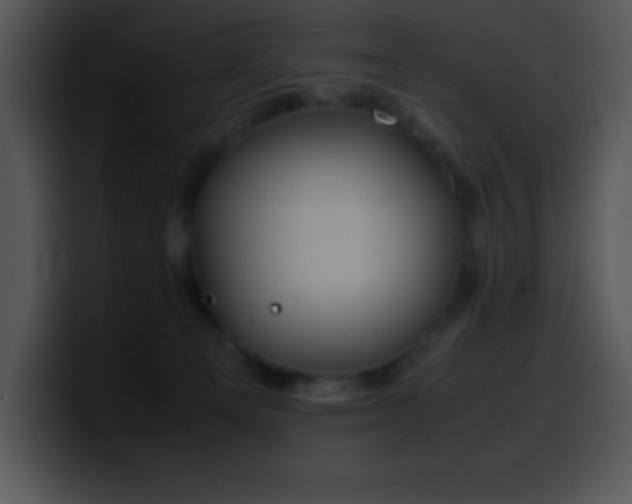 X0000100420129200806061411