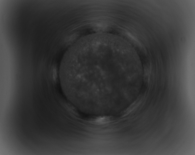 X0000100420130200806061411