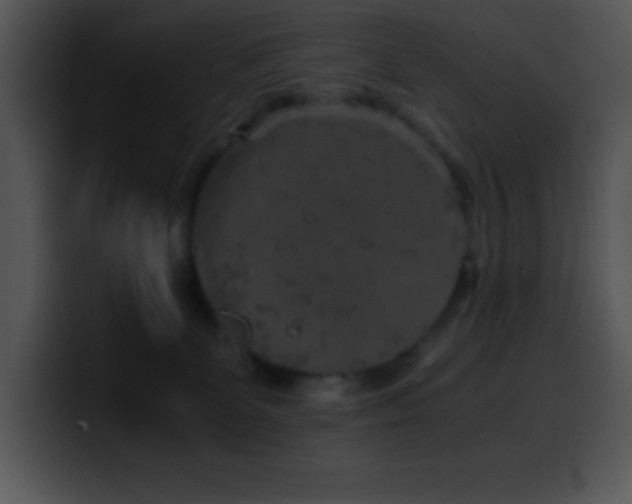 X0000100420131200806061411