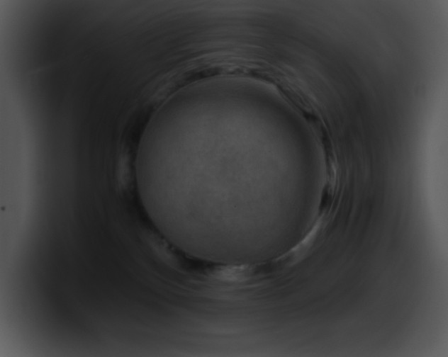 X0000100420136200806061411
