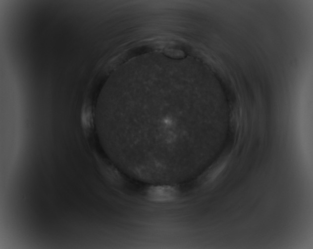 X0000100420137200806061411